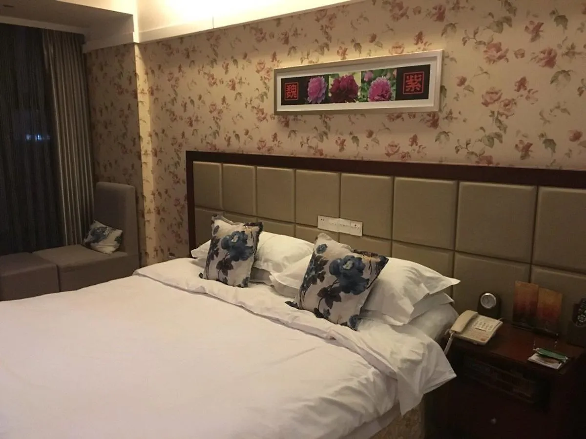 New Friendship Hotel Luoyang  3*, Luoyang (Henan)